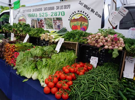 San Marcos Farmers' Market