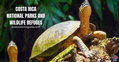 San Ramon Costa Rica Wildlife Refuge