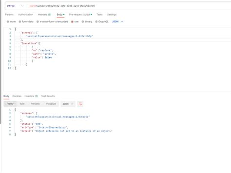SCIM Errors