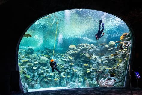 Seattle Aquarium