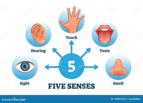 Sensory Data