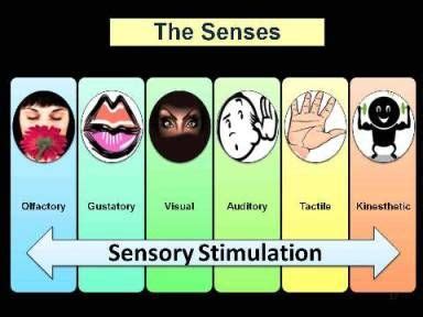 Sensory Stimulation