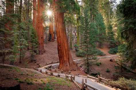 Sequoia National Park