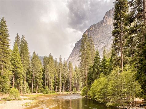 Sierra National Forest