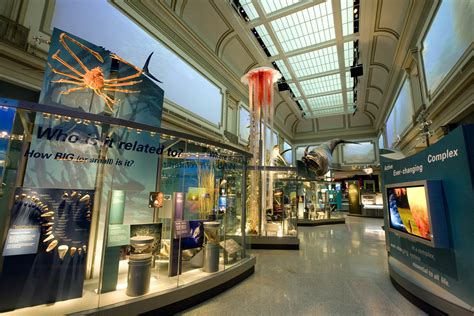 Smithsonian Museum