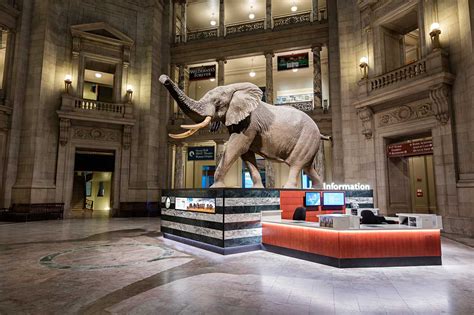 Smithsonian Museum