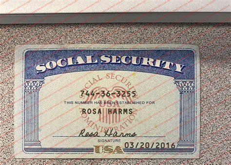 Social Security Card