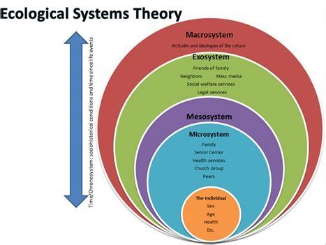 Systems Approach to Social Work