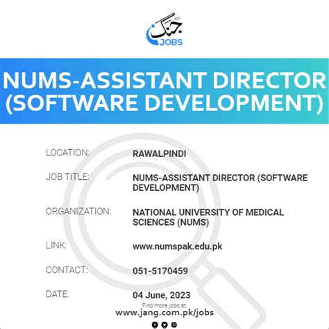Software Developer