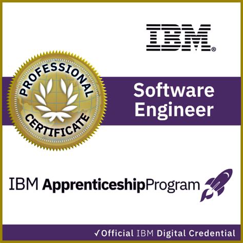 Software engineer at IBM