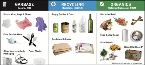 Sorting Waste
