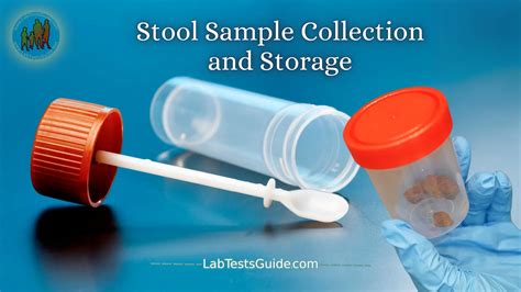 Stool Sample