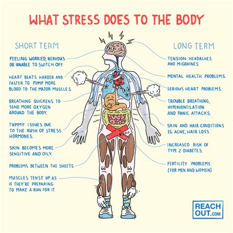 Stress on the Body