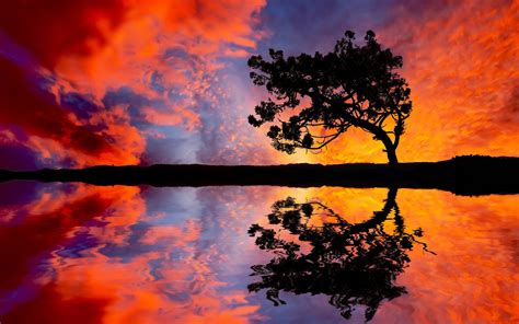 Sunset Reflect