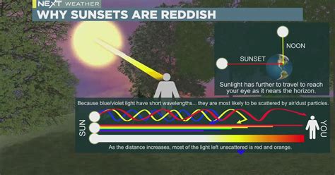 Sunset Science