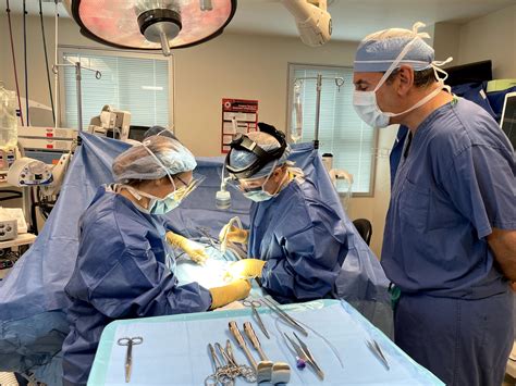 Surgical Physician Assistant Growth