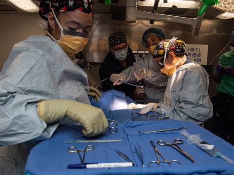 Surgical Technologist Assisting the Surgical Team