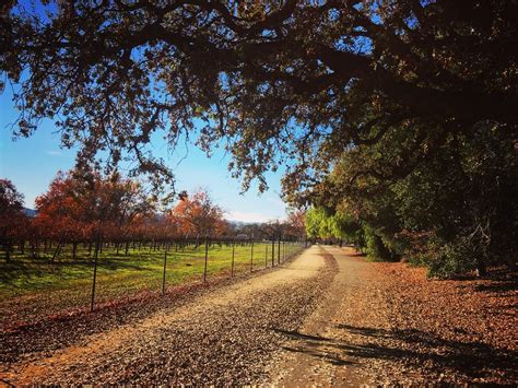 Sycamore Grove Park