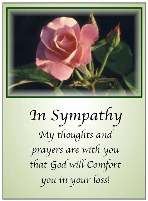 Sympathy and Support