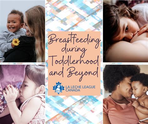Toddlerhood Development