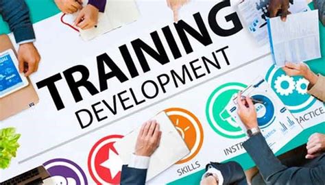 Training and Development Manager
