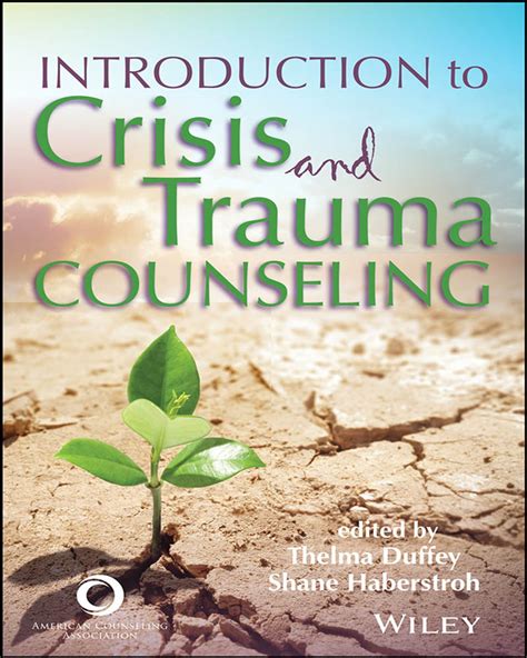Trauma counselor working with a client