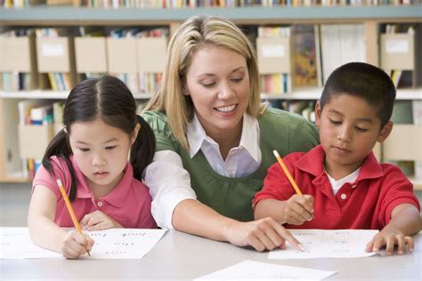 Tutor or teacher's assistant