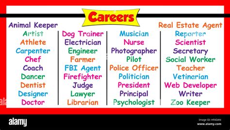 Types of Career Positions