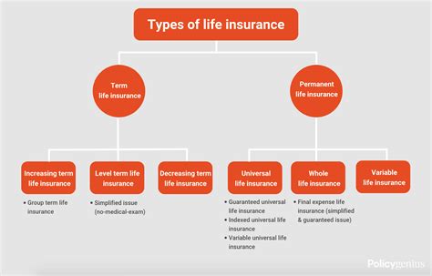 Types of term insurance policies