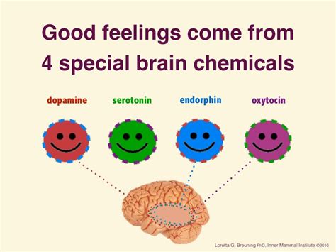 Understanding the role of dopamine and oxytocin takes education and self-awareness