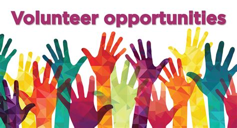 Volunteer Work and Internships