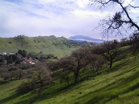 Walnut Creek California