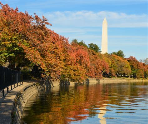 Washington D.C. in Autumn