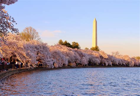 Washington D.C. in Spring
