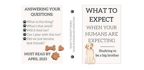 What to Expect