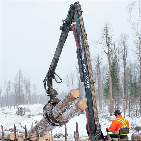 Woodland Jobs