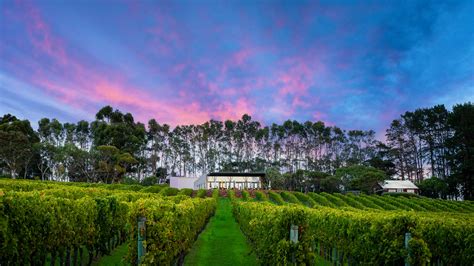 World Class Wineries