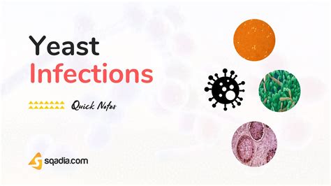 Yeast Infection