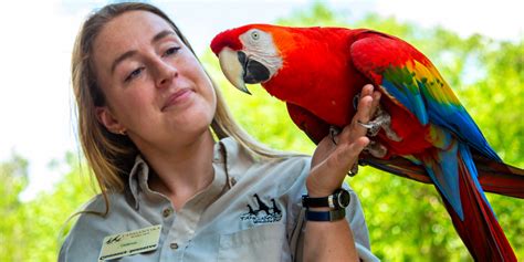 Zoo jobs